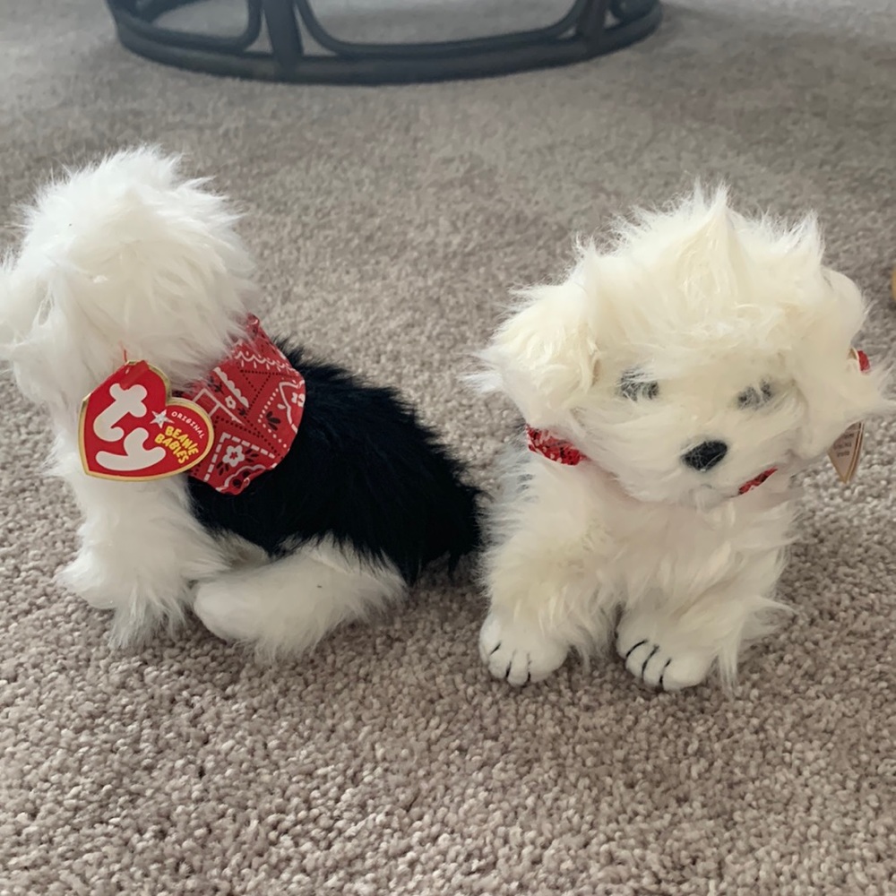 Dog Ty